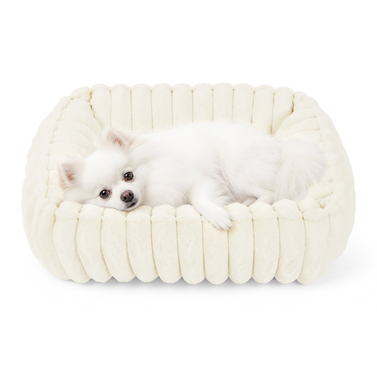 Exclusivo Mezcla Ribbed Plush Cuddler Dog Bed, 20"x16" Calming Pet Bed with Non-Slip Bottom for Small Dogs, Machine Washable, Ivory