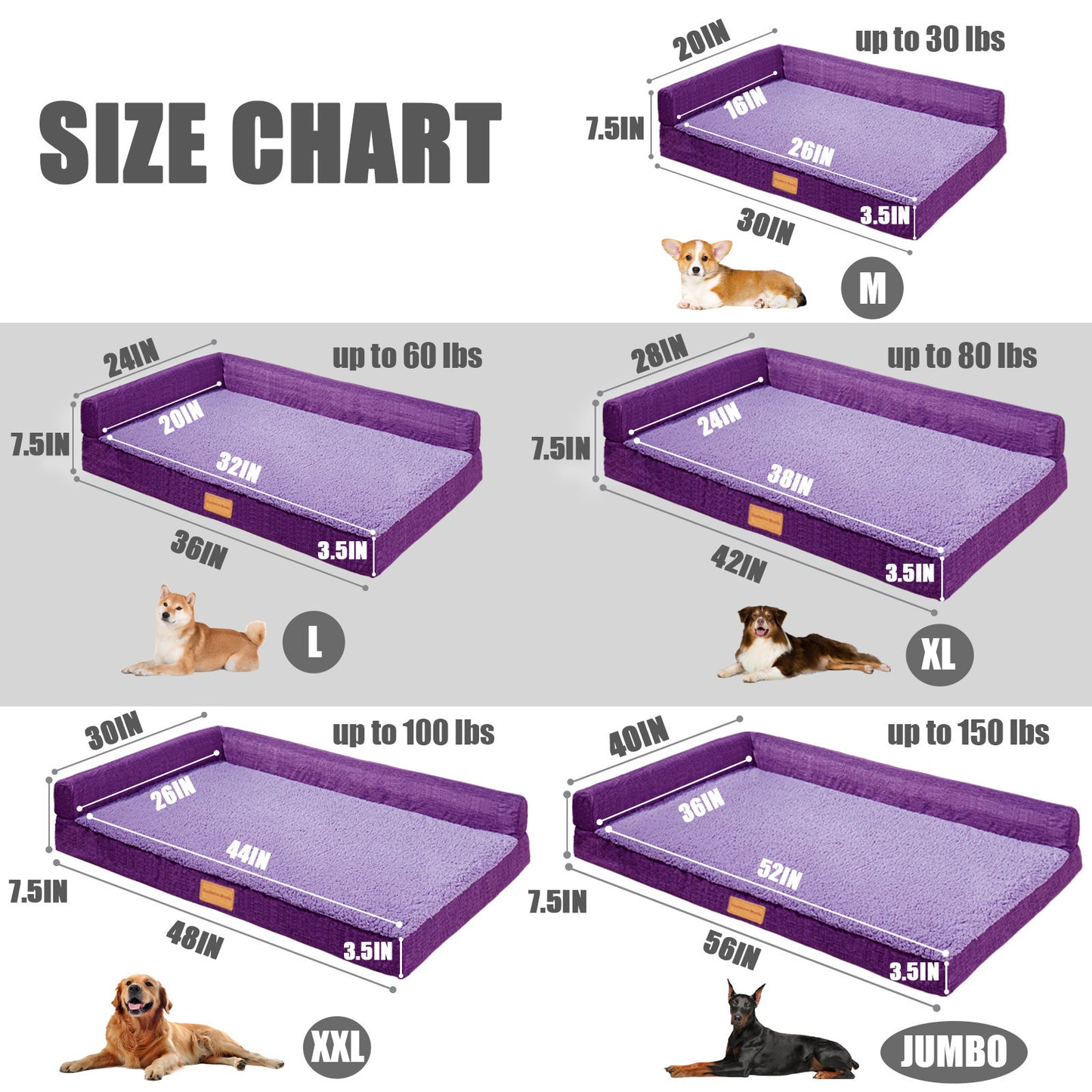 Exclusivo Mezcla Orthopedic Dog Bed for Medium Dogs 36''X24'', L Shaped with Removable Washable Cover, Waterproof Supportive Foam Pet Couch Bed Mat, Purple