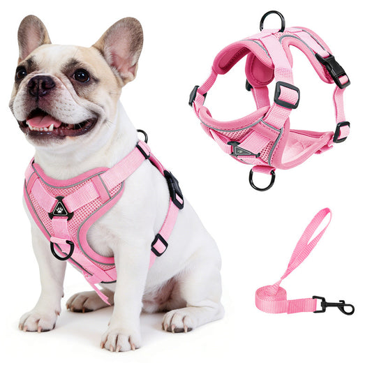 Exclusivo Mezcla Pet Harness and Leash Set, Adjustable Reflective Walking Dog Harness for Small Dogs, No Pull Soft Mesh Puppy Harness, Pink, L