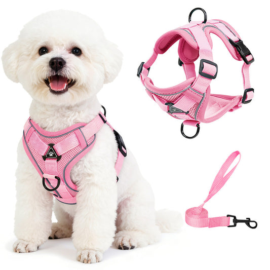 Exclusivo Mezcla Pet Harness and Leash Set, Adjustable Reflective Walking Dog Harness for Small Dogs, No Pull Soft Mesh Puppy Harness, Pink, M