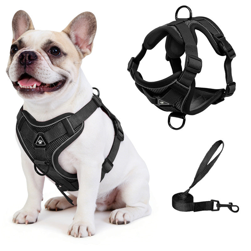 Exclusivo Mezcla Pet Harness and Leash Set, Adjustable Reflective Walking Dog Harness for Small Dogs, No Pull Soft Mesh Puppy Harness, Black, L