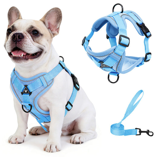 Exclusivo Mezcla Pet Harness and Leash Set, Adjustable Reflective Walking Dog Harness for Small Dogs, No Pull Soft Mesh Puppy Harness, Blue, L