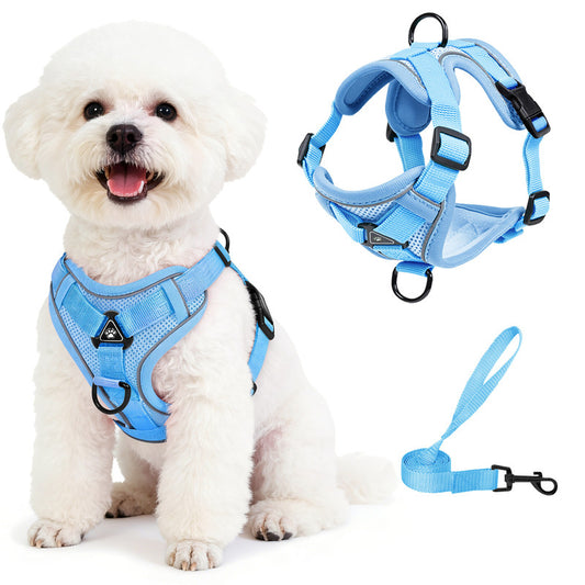 Exclusivo Mezcla Pet Harness and Leash Set, Adjustable Reflective Walking Dog Harness for Small Dogs, No Pull Soft Mesh Puppy Harness, Blue, M