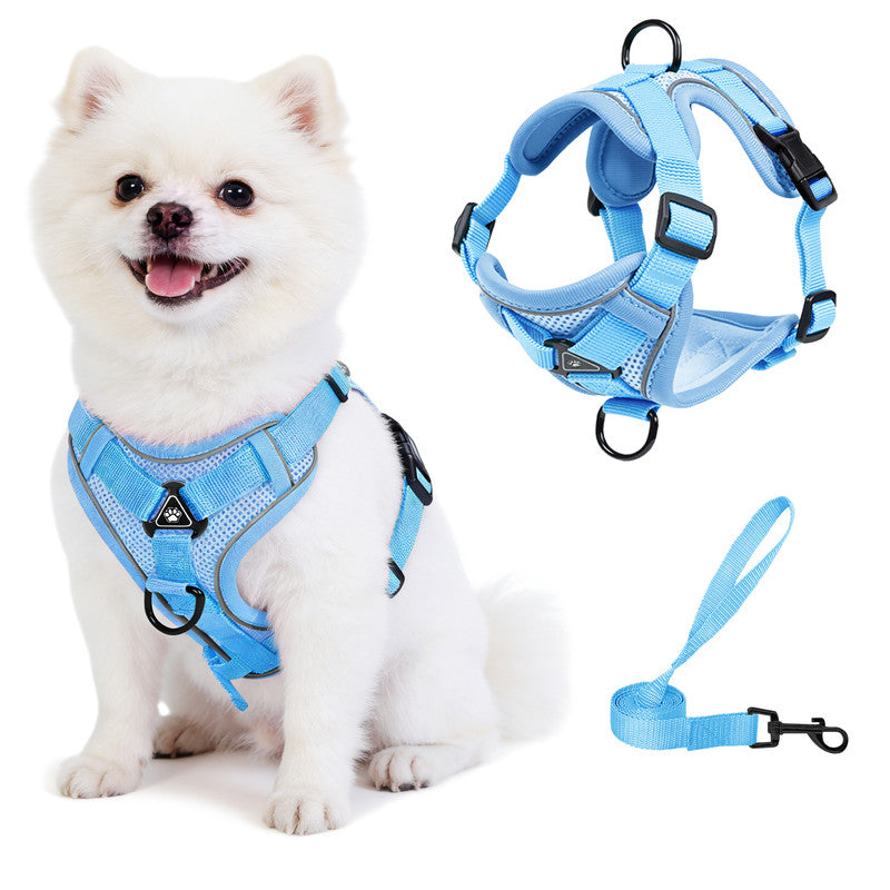 Exclusivo Mezcla Pet Harness and Leash Set, Adjustable Reflective Walking Dog Harness for Small Dogs, No Pull Soft Mesh Puppy Harness, Blue, S