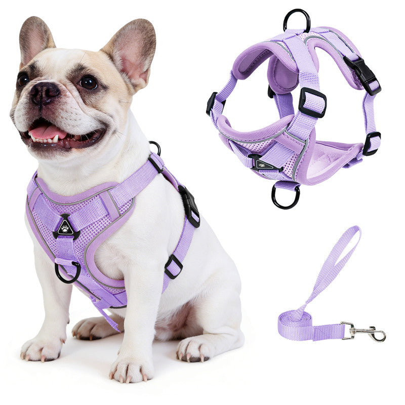 Exclusivo Mezcla Pet Harness and Leash Set, Adjustable Reflective Walking Dog Harness for Small Dogs, No Pull Soft Mesh Puppy Harness, Purple, L