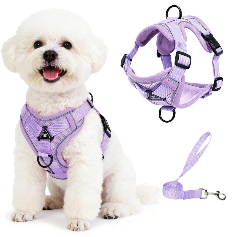 Exclusivo Mezcla Pet Harness and Leash Set, Adjustable Reflective Walking Dog Harness for Small Dogs, No Pull Soft Mesh Puppy Harness, Purple, M