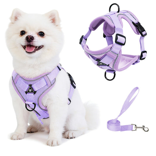 Exclusivo Mezcla Pet Harness and Leash Set, Adjustable Reflective Walking Dog Harness for Small Dogs, No Pull Soft Mesh Puppy Harness, Purple, S